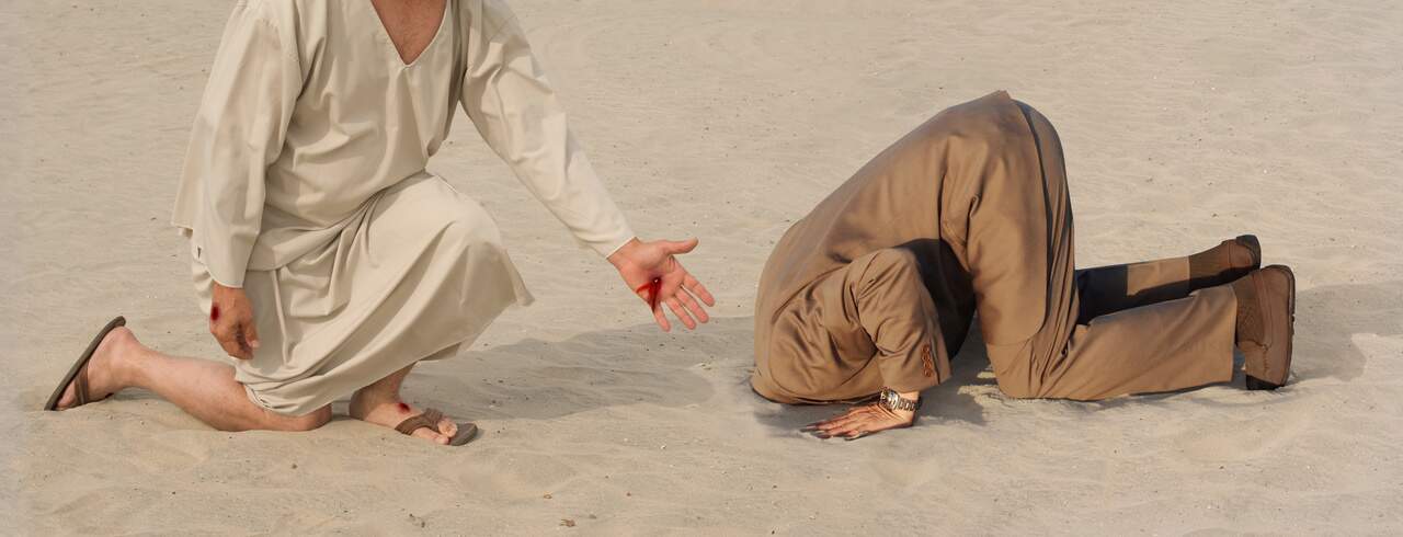 James Steidl/ Shutterstock