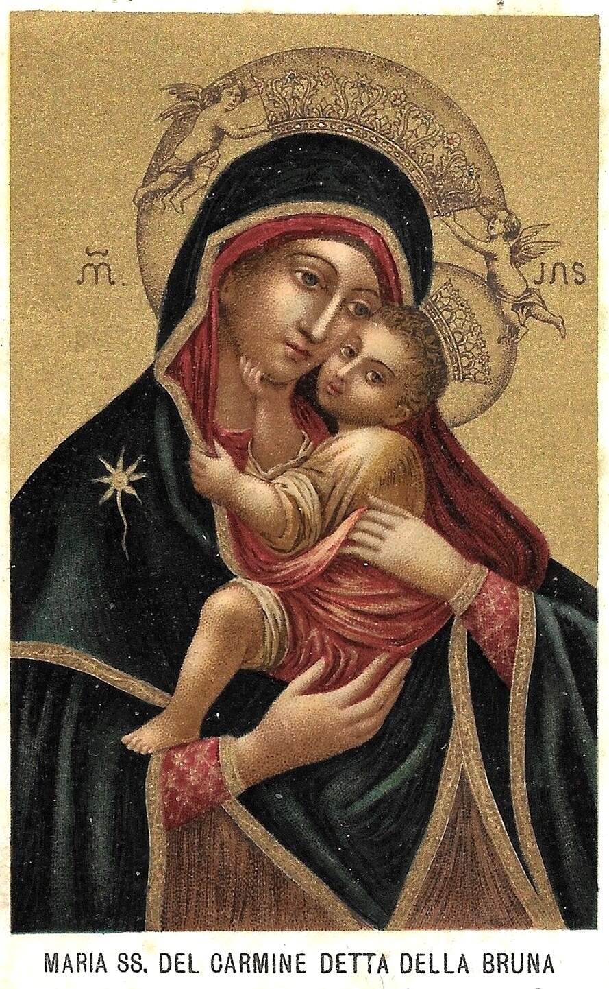 Reprodução Reprodução