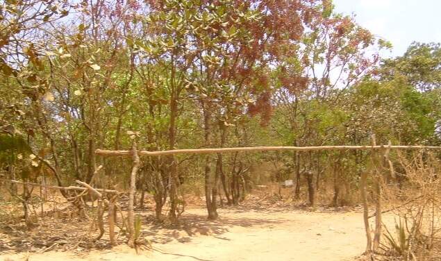 Ritual fúnebre dos povos de Furacungo em Moçambique. Ritual fúnebre dos povos de Furacungo em Moçambique.