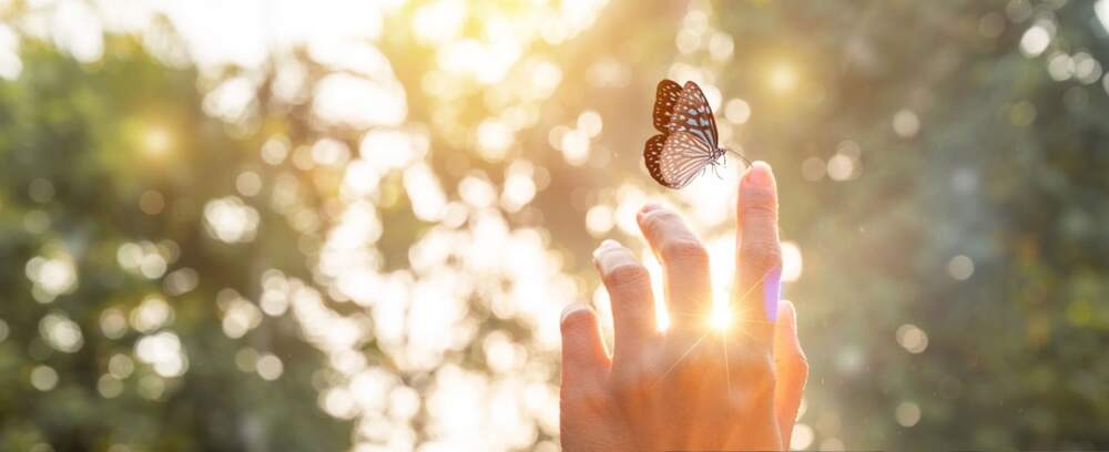 Daily insights/Shutterstock Daily insights/Shutterstock