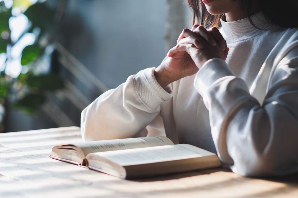 Korawat photo shoot / Shutterstock