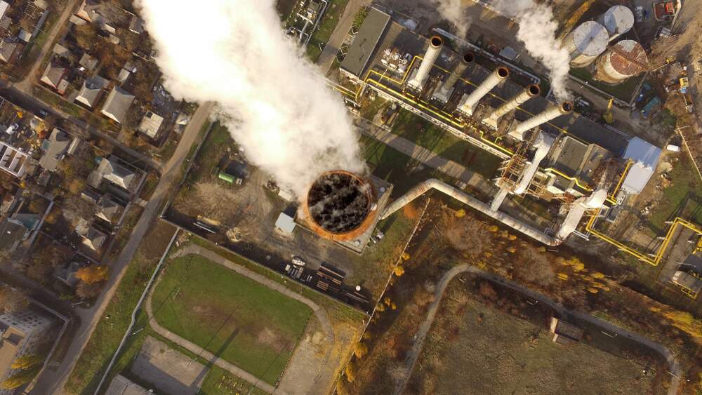 Artem Grebenyuk/ shutterstock Artem Grebenyuk/ shutterstock