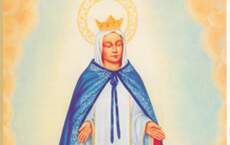 Reprodução Reprodução