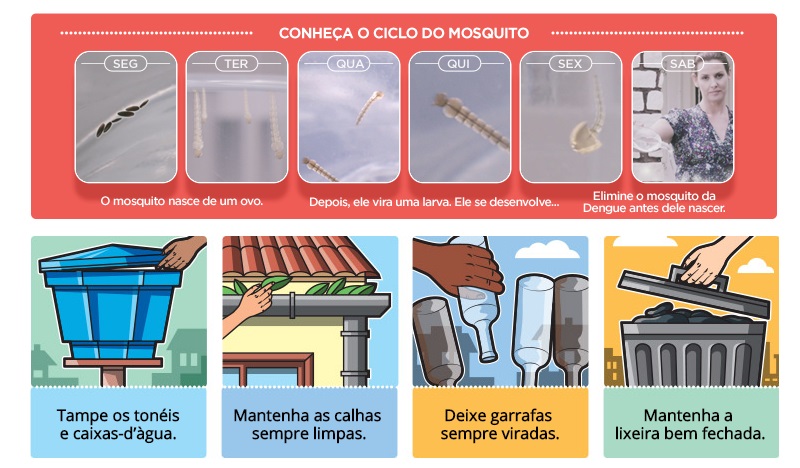 combate ao mosquito Aedes aegypti