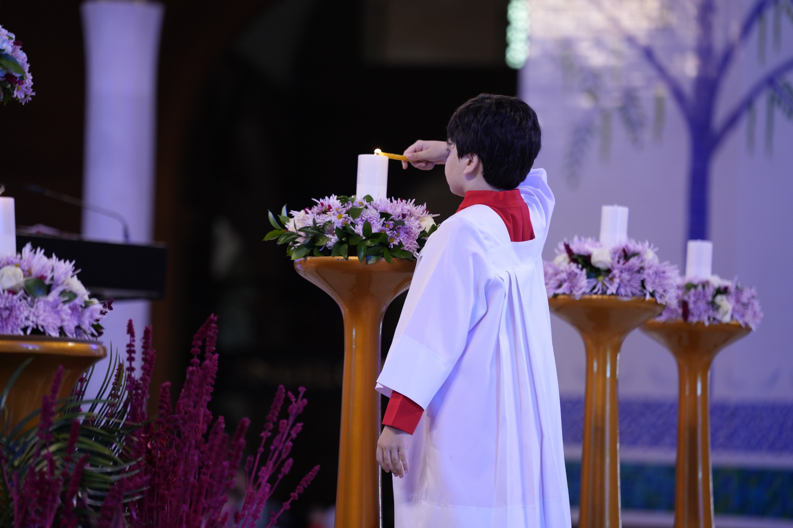 José Eduardo Castro