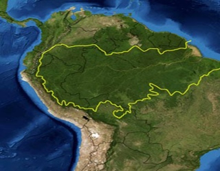 pan_amaznia pan_amaznia