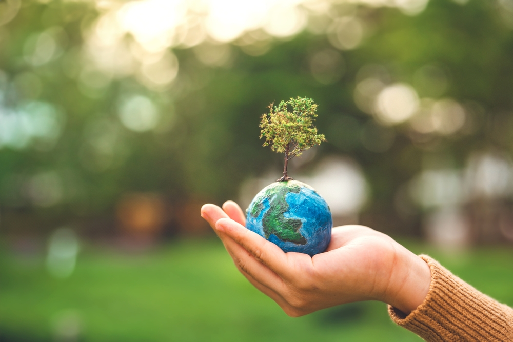 oatawa/ shutterstock