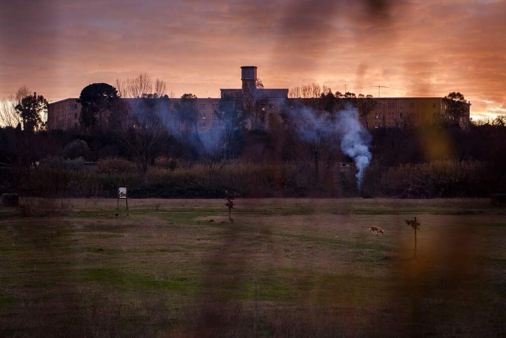 Giuliano Del Gatto/Shutterstock Giuliano Del Gatto/Shutterstock