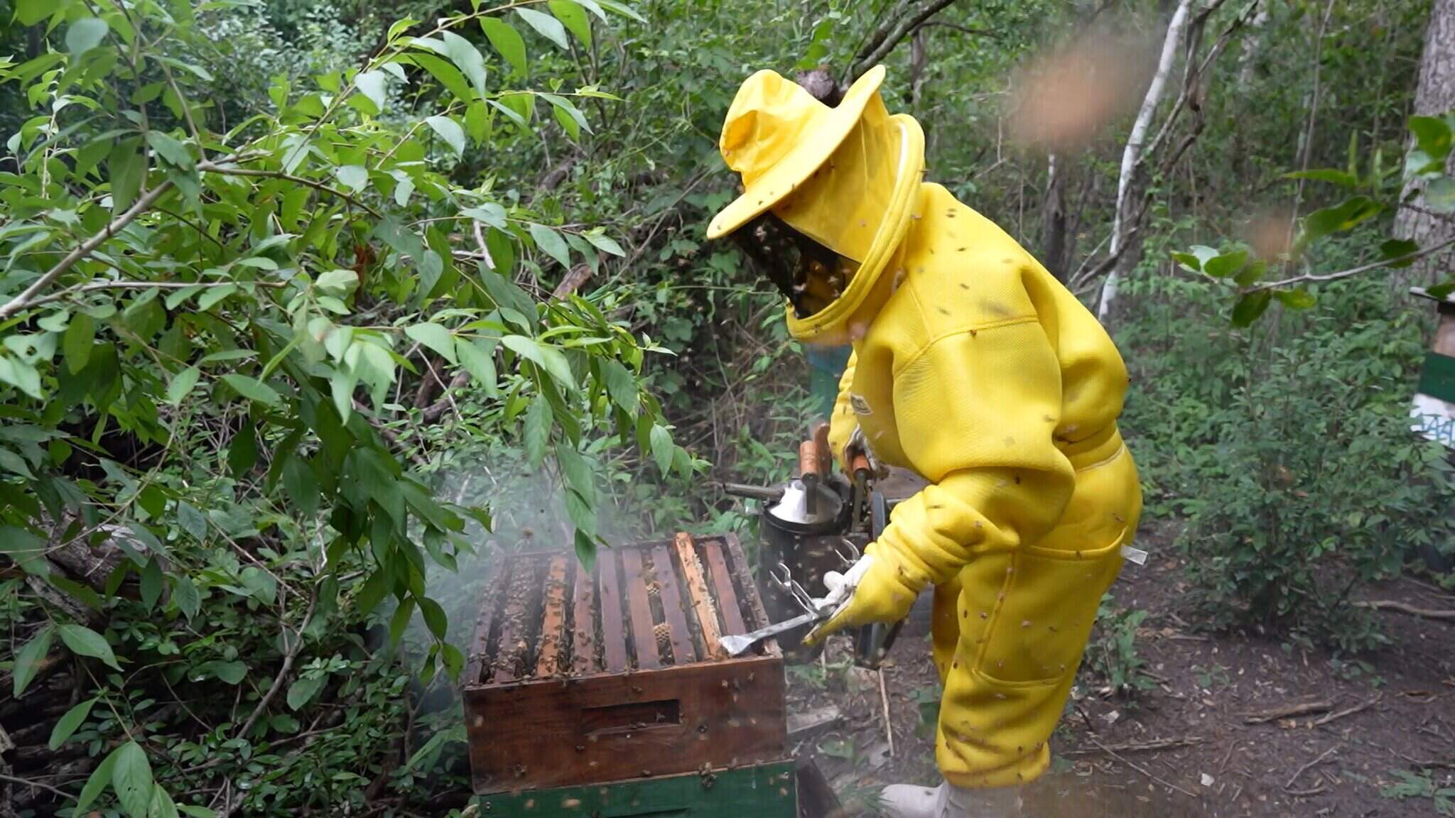 Reprodução TV Aparecida Reprodução TV Aparecida