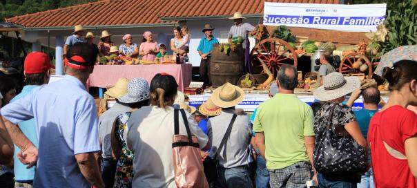 Romaria da Terra completa 40 anos no RS