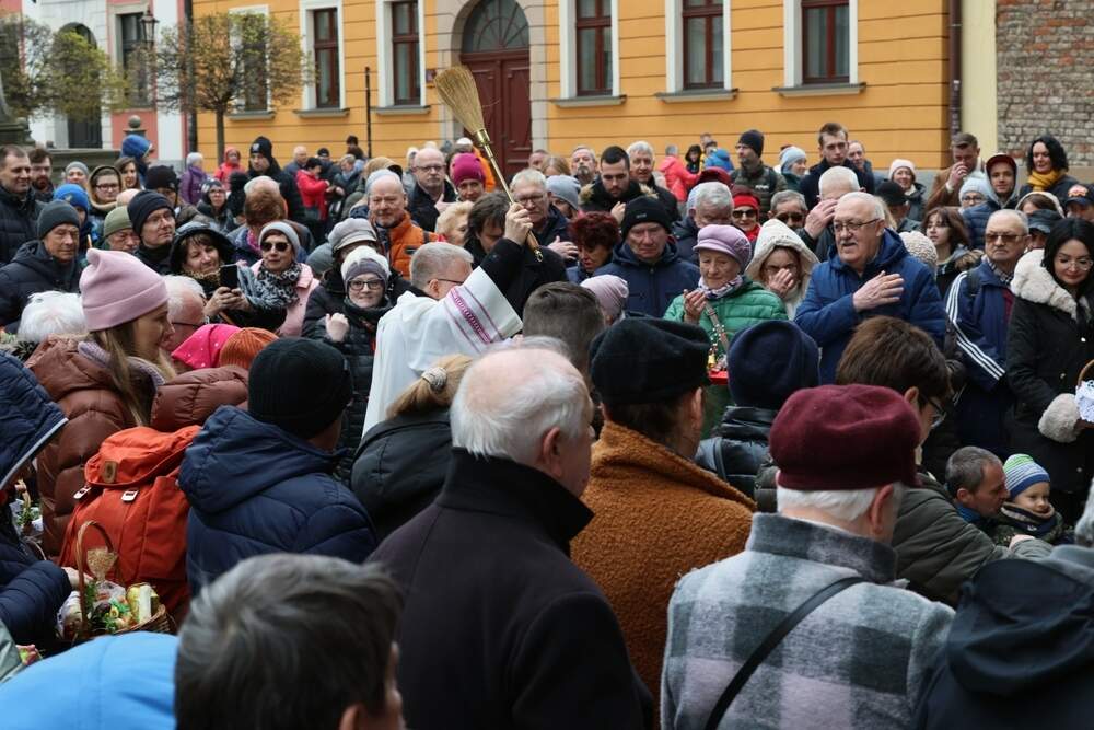 FotoDax/Shutterstock