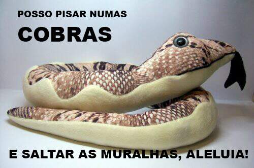 saltar_as_cobras