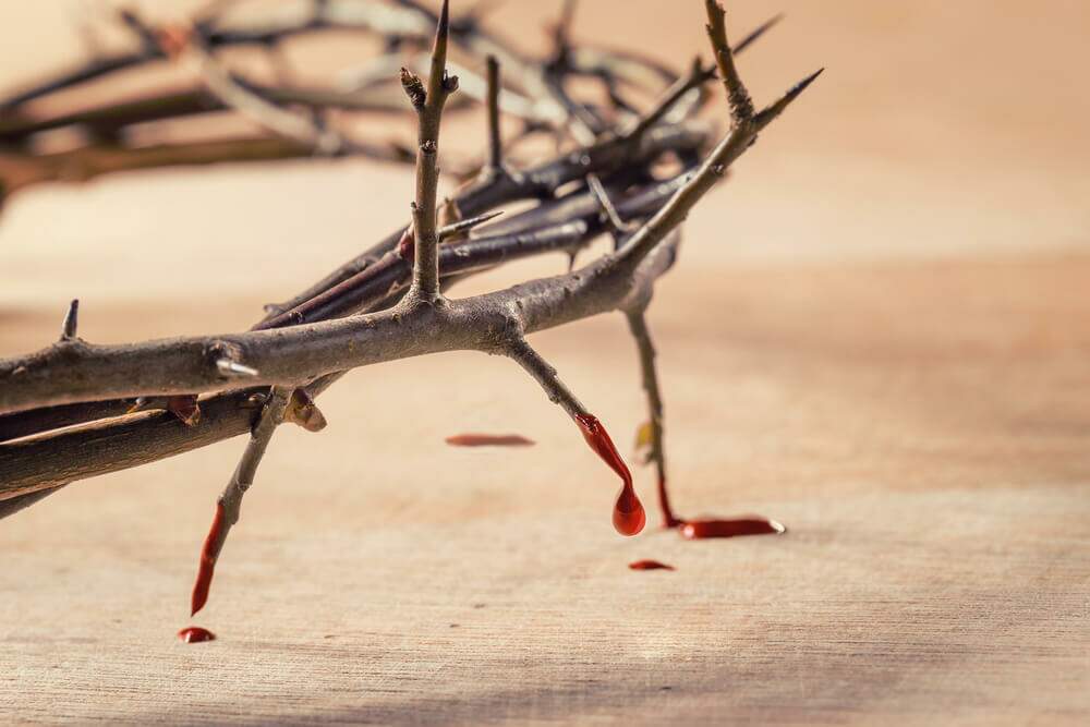 Resultado de imagem para Imagem do sangue de Jesus