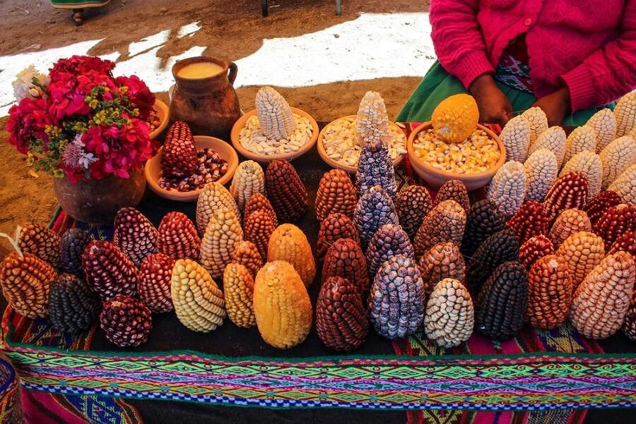 Cintbel/ Shutterstock