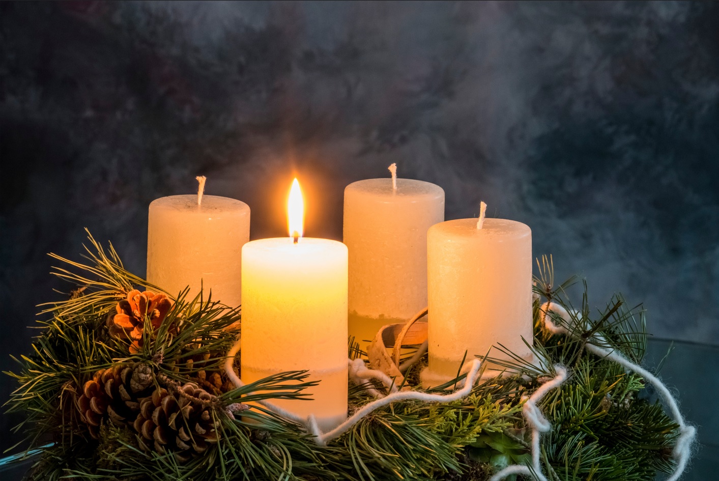 Gina Sanders/Adobe Stock